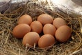 Close-upÃ¢â¬â¹ ofÃ¢â¬â¹ fresh chicken eggs with nestÃ¢â¬â¹ inÃ¢â¬â¹ theÃ¢â¬â¹ woodÃ¢â¬â¹enÃ¢â¬â¹ box, A pile of brown eggs in a nest. Royalty Free Stock Photo